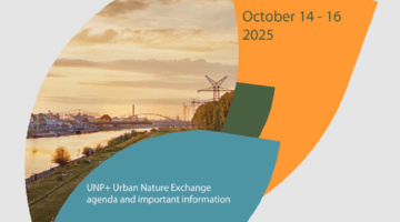 Insights Report Mannheim