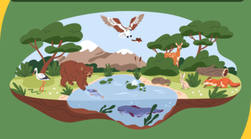 World Biodiversity Day Over 1 million species are at risk of extinction. Join us and the UN in calling for increased harmony with nature and sustainable development - from the ground up.