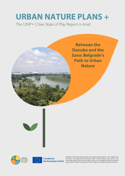 Belgrade State of Play Report