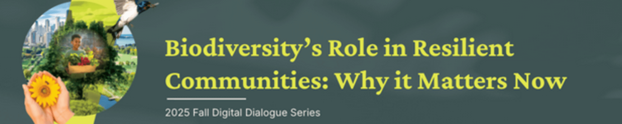 UbN Accelerator Health Biodiversity Online Roundtable