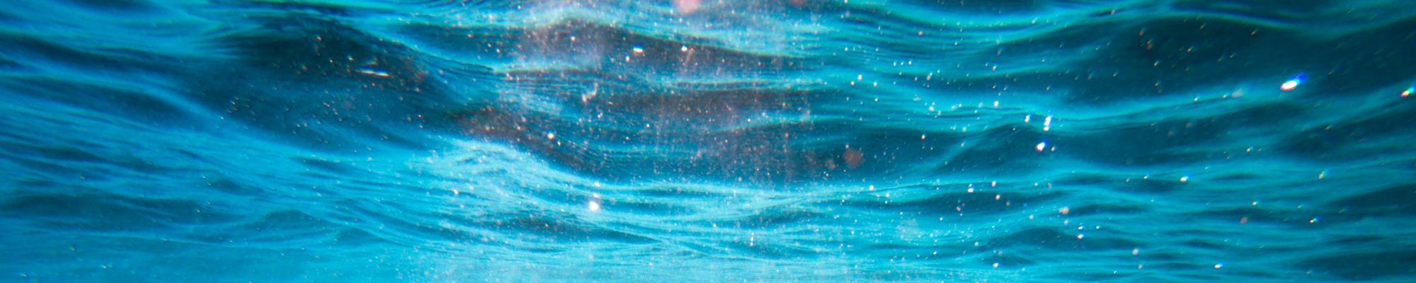 Underwater view