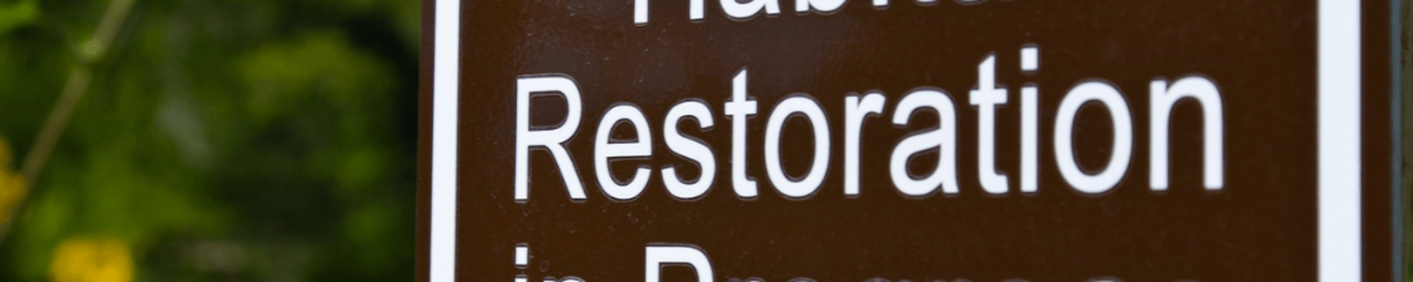 Habitat restoration in progress