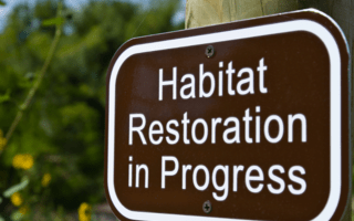 Habitat restoration in progress