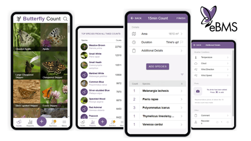 Butterfly Count App