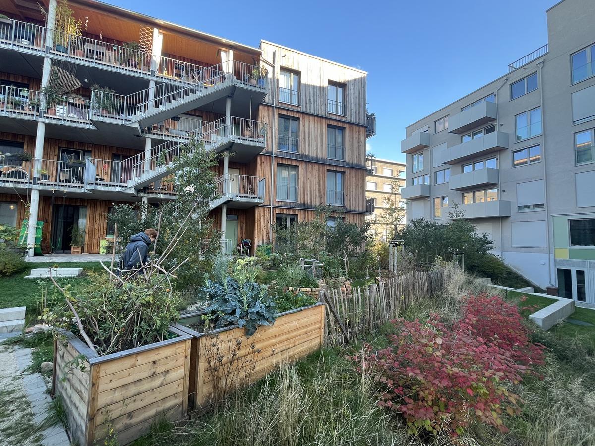 Spinelli neighborhood