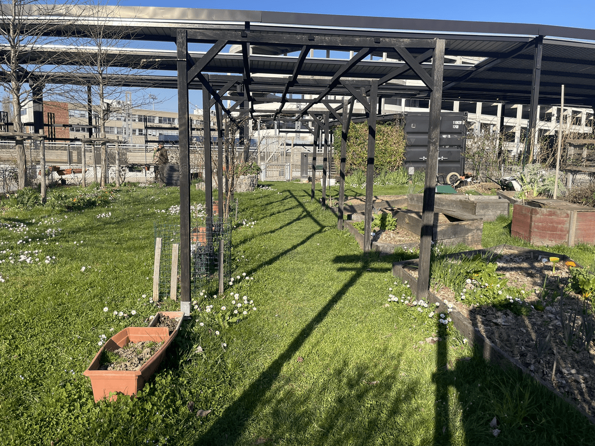 Near Chapelle Street