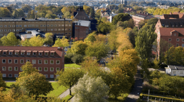city green from above