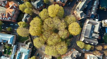 aerial view trees london