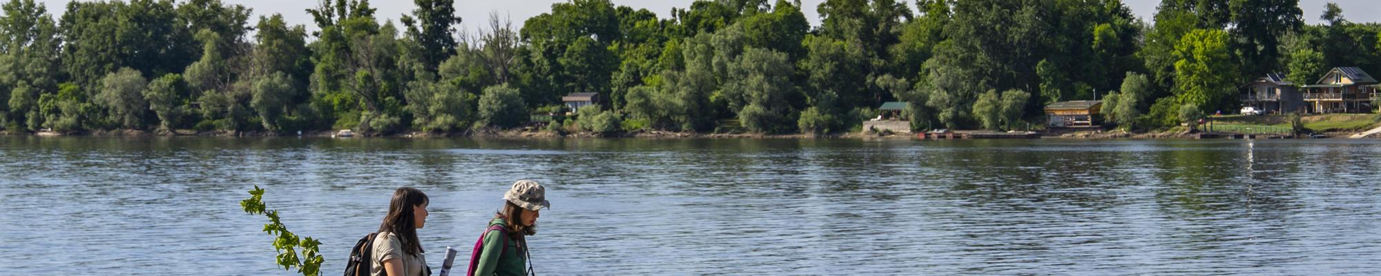 Belgrade river