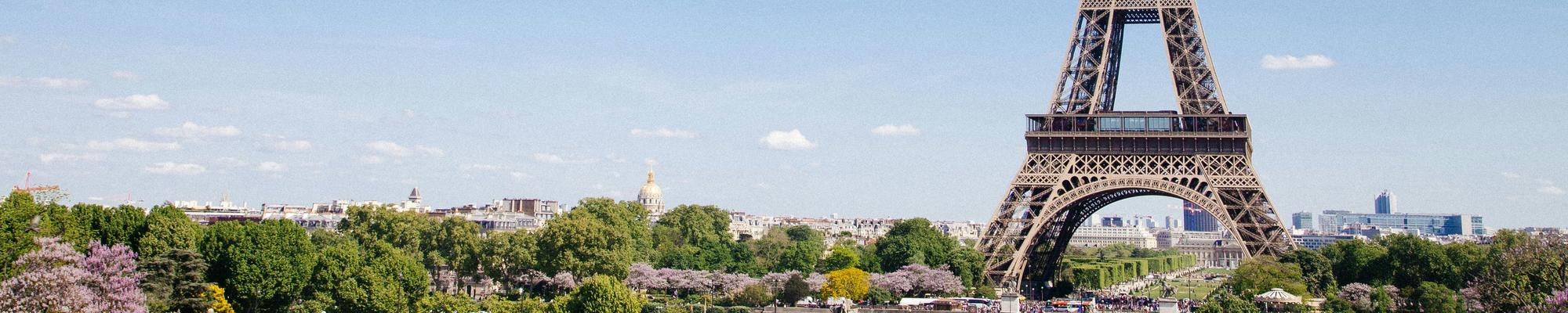 The Eifel tower surrounded by trees. 