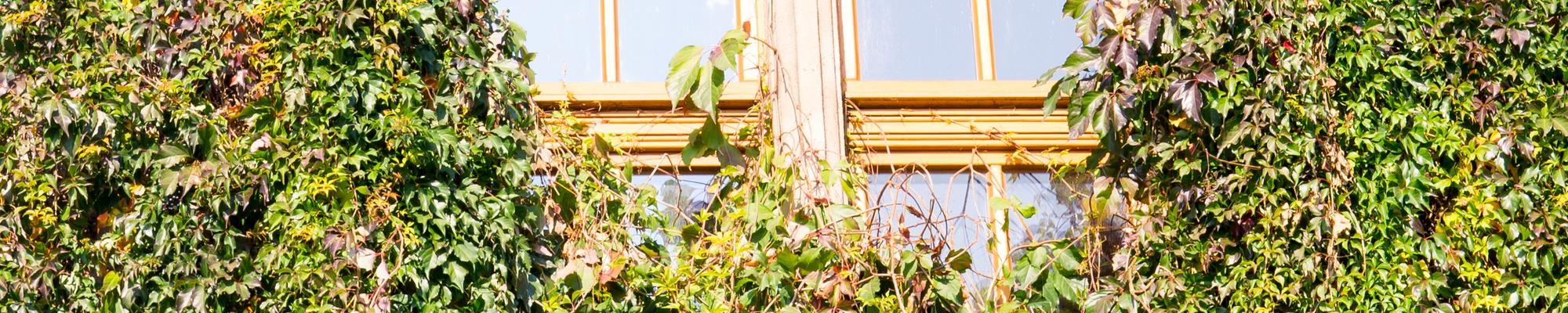 Green fassade