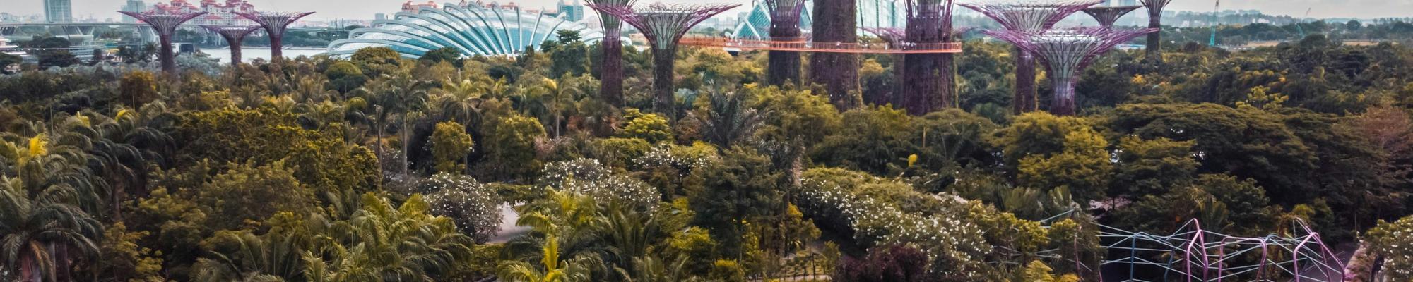 An areal view of greenspace and futuristic buildings and air bridges. 