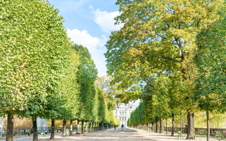 Green Paris