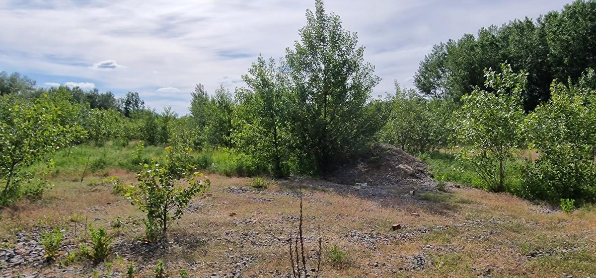 Derelict area where the dumping of construction waste has created Open Mosaic Habitat